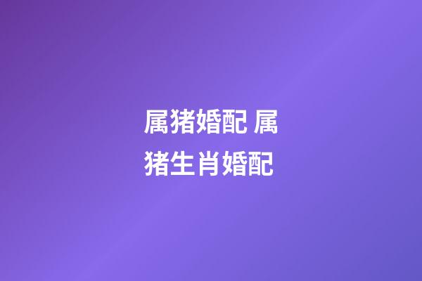 属猪婚配 属猪生肖婚配